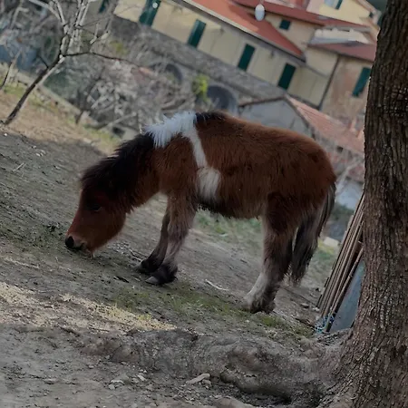 A Ca Du Cappellan *